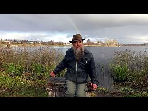 Видео: Как развить ментальные способности детей