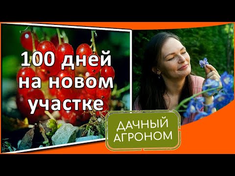Видео: НЕ ЗАСТАВЛЯЙ ПОДКАРМЛИВАТЬ! Что я ПОНЯЛА за 100 дней на новом участке