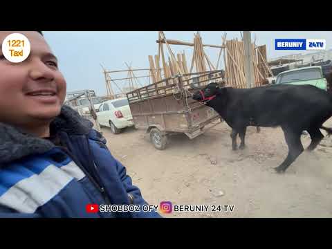 Видео: БЕРУНИЙ ХУКИЗ БОЗОРИ 1 КИСМ 16.11.2025