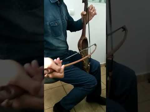 Видео: Топ жылкы 😍😍😍😍