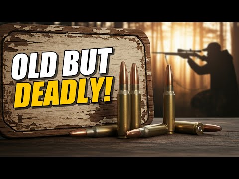 Видео: Старые, но золотые: 5 классических охотничьих калибров, которые стремительно возвращаются в 2025 ...
