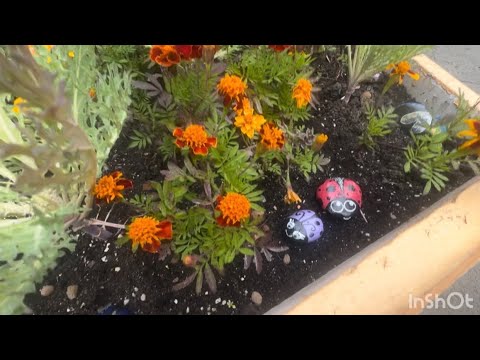 Видео: Норильск. Краски лета.