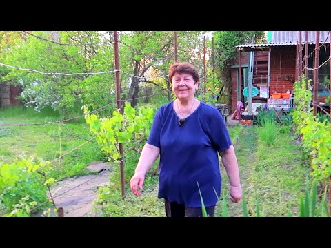 Видео: Кто с нами С НОЧЁВКОЙ на ДАЧУ? КАКОЙ КАЙФ!!! @Мамины рецепты НА ДАЧЕ!!!