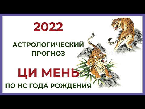 Видео: 2022 Ци Мень прогноз по НС года рождения.