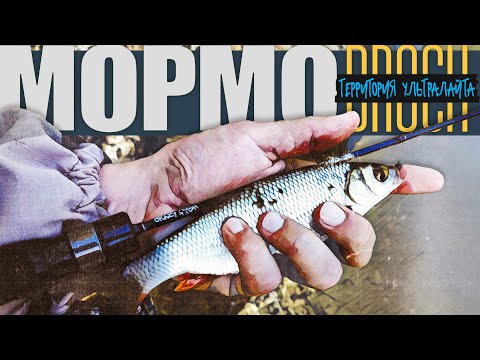 Видео: РЕКА В КОТОРОЙ ПОЛНО РЫБЫ ► МОРМЫШИНГ