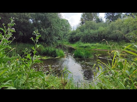 Видео: Рыбалка на острове с ночёвкой. Самая уловистая рыбалка на Вятке за последние годы. Большой поход.