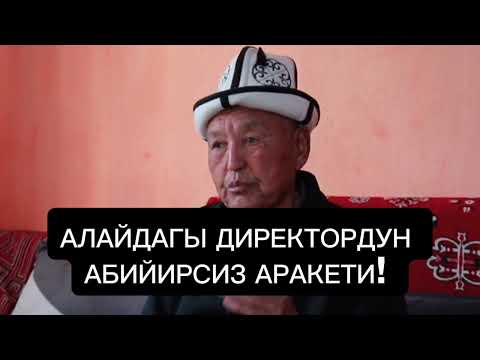 Видео: Алай: Неберемдим ДНКсы эки башка чыкты