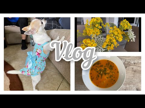 Видео: НАМ ДОДЕЛАЛИ КУХНЮ / ДЖЕРРИ в ОБНОВКАХ / ИТАЛЬЯНСКИЙ  ЧЕЧЕВИЧНЫЙ СУП