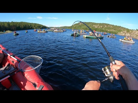 Видео: СПИННИНГИ В ДУГУ  / СУПЕР КЛЁВ ГОРБУШИ / SPINNING RODS IN AN ARC FROM SUCH A FISH