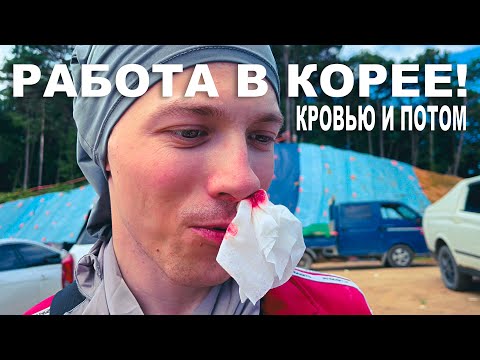 Видео: 5 Простых Советов чтобы Найти Работу в Южной Корее без Языка #korea #work #money