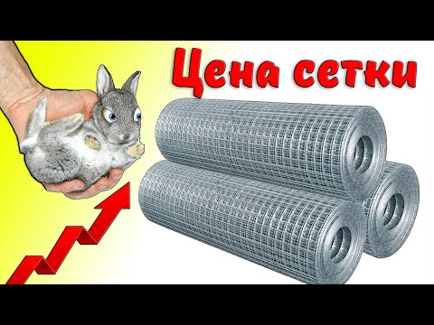 Видео: Сетка для клеток / Актуальные цены