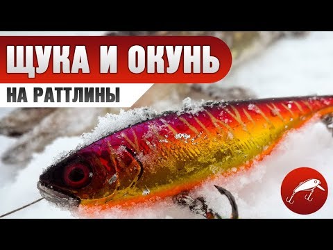 Видео: Ловля щуки на раттлины зимой. Ловля щуки и окуня на раттлины и балансиры. Первый лед 2018-2019