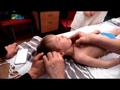 Видео: Шилин  Работа с детьми 07 04 16