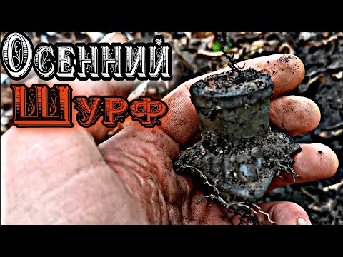 Видео: #ОСЕННИЙ ШУРФ#ПРИМОРСКИЙ КРАЙ#