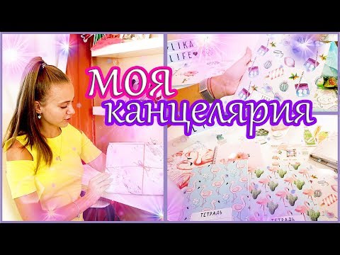 Видео: Моя канцелярия 2019 / Готова к ШКОЛЕ / ДАРЮ КАНЦЕЛЯРИЮ / КОНКУРС / BACK TO SCHOOL