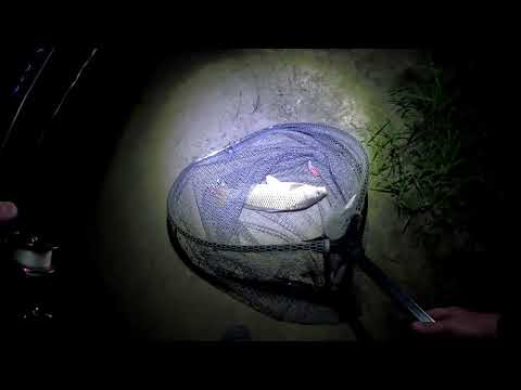 Видео: Рыбалка на реке Дон! Разведка новых мест! Бешеный клев САЗАНА!!!