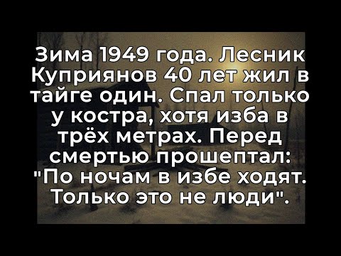 Видео: Лесник прожил в тайге 40 лет. Почему он НИКОГДА не ночевал в избе повергло в ШОК.