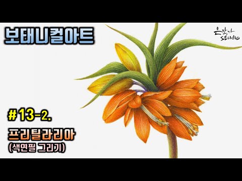 Видео: [Цветочная живопись / Ботаническое искусство] № 13-2. Рисунок цветным карандашом Fritillaria