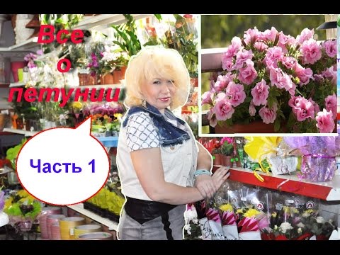 Видео: Все о петунии. Много полезных советов. Часть 1