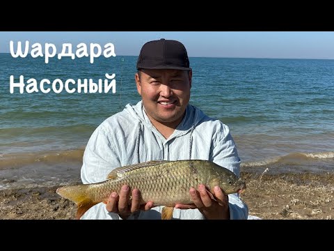 Видео: Шардара насосный хит жер екен балық зор екен!