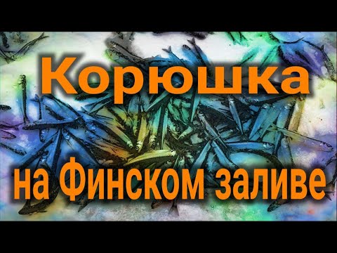 Видео: корюшка на финском заливе , северная дамба 250 штук , зимняя рыбалка , удачная рыбалка