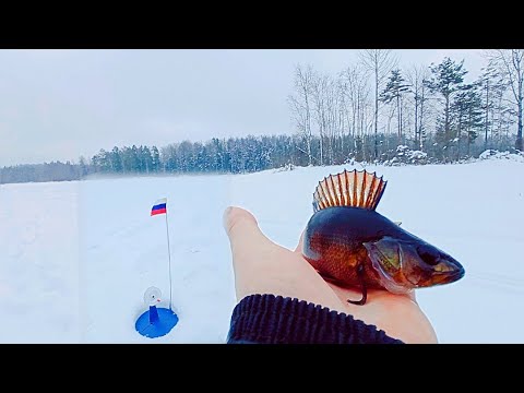 Видео: РАЗВЕДУЕМ ЛЕСНОЕ ОЗЕРО. ЛОВИМ ЩУКУ, ОКУНЯ. РЫБАЛКА В НАЧАЛЕ МАРТА