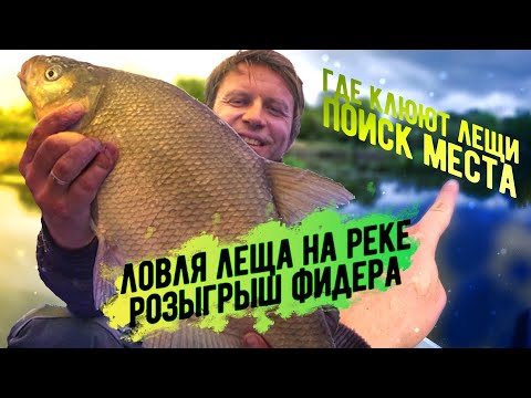 Видео: Ловля леща фидером на реке. Но есть нюансы...