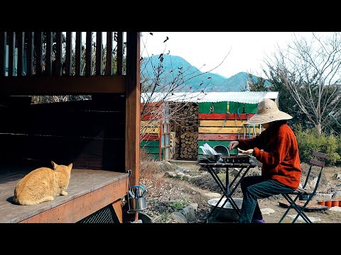 Видео: Начался посев цветов ~ Освежающий загородный дом ~!!
