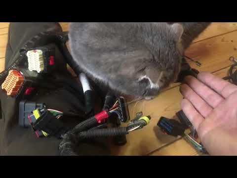 Видео: Замена ЭБУ Микас на Моторолу