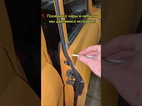 Видео: Движение истины