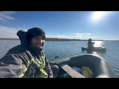 Видео: ОСЕННЯЯ РЫБАЛКА НА ГРАНИ ФОЛА