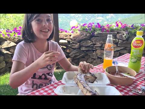 Видео: сelo Долене - планина Огражден