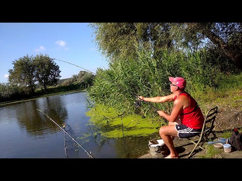 Видео: Выезд на реку Северский Донец (фидер в деле)