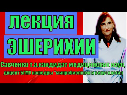 Видео: Эшерихии.Эшерихии,лекция по микробиологии.