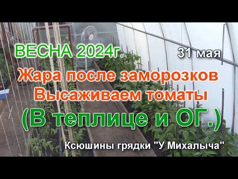 Видео: ВЕСНА  МАЙ  В теплице и  ОГ.