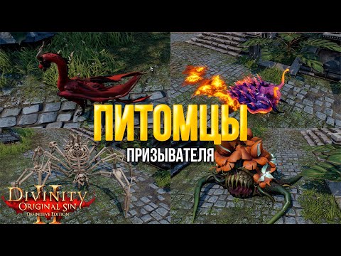 Видео: Divinity original sin 2: Definitive edition.  Все питомцы призывателя.