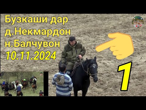 Видео: Бузкаши дар д.Некмардон н.Балчувон кисми 1  10.11.2024