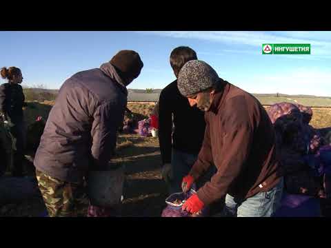 Видео: 08112017 СЕЛЬСКИЙ  ЧАС ЯНДАРЕ