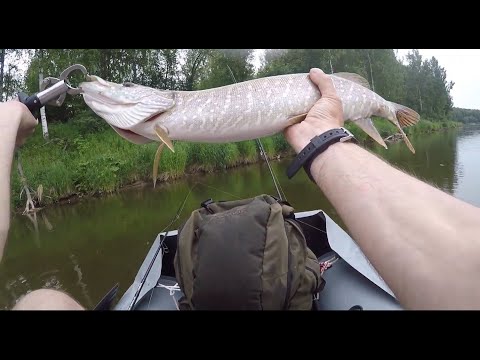 Видео: Чусовая, скалы, сплав... Окунь, щуки, голавли.