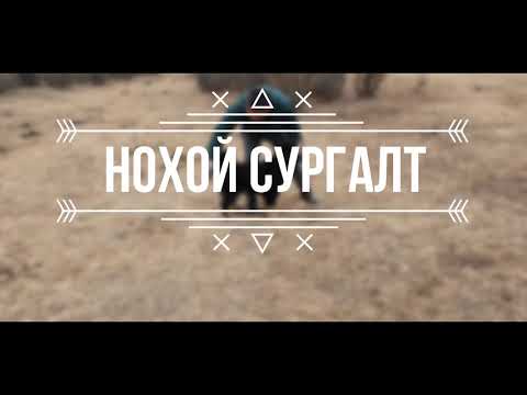 Видео: Нохой сургах арга #3 | Нийгэмшил | Монгол банхар | Nohoi surgah arga | Mongol bankhar | Banhar
