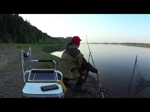 Видео: КАК ПОЙМАТЬ ЧЕХОНЬ НА РЕКЕ.ЧЕХОНЬ НА ФИДЕР.ЛОВЛЯ ЧЕХОНИ НА КАМЕ.ОСНАСТКА НА ЧЕХОНЬ.ПОЙМАН БОНУС!