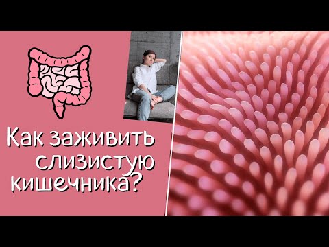 Видео: Как заживить слизистую кишечника? Питание, добавки.