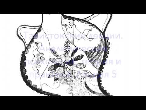 Видео: Карл Густав Юнг. Тэвистокские лекции. Лекция 5. Перенос, активное воображение - читает Виктор Огнев