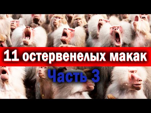 Видео: Рожать, Если муж не хочет? Лишь бы не проверил..
