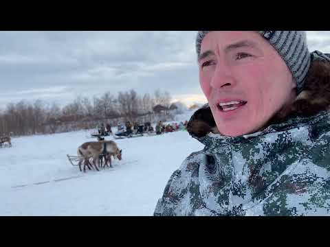 Видео: Жизнь в лесу🌲Ханты и Ненцы. Праздник «День Оленевода»