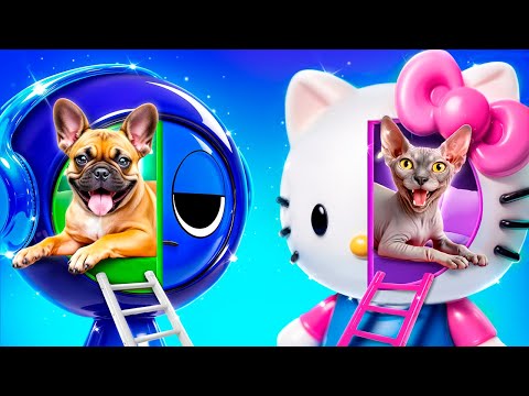 Видео: Богатая кошка vs бедная собака! Строим секретные домики для животных!