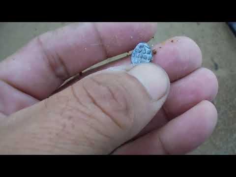 Видео: Искал золото,а нашел совсем не то что ожидал,поиск на пляже!