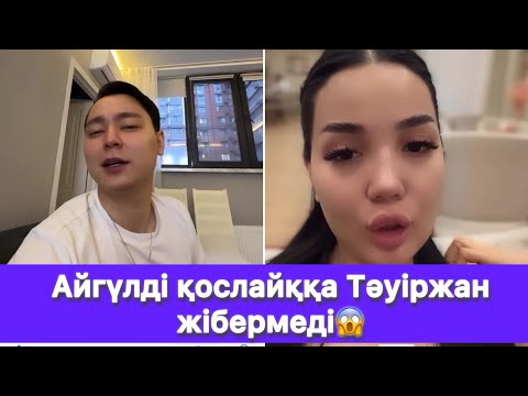 Видео: Айгүлді қослайққа Тәуіржан жібермеді😱