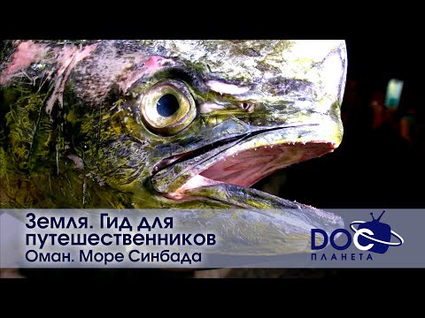 Видео: Земля.Гид для путешественников.Оман - Фильм 3. Море Синдбада - Документальный фильм