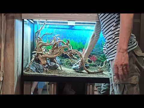 Видео: Оформление аквариума на 260 литров.
